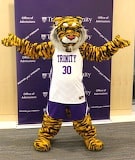 Trinity Tiger 
