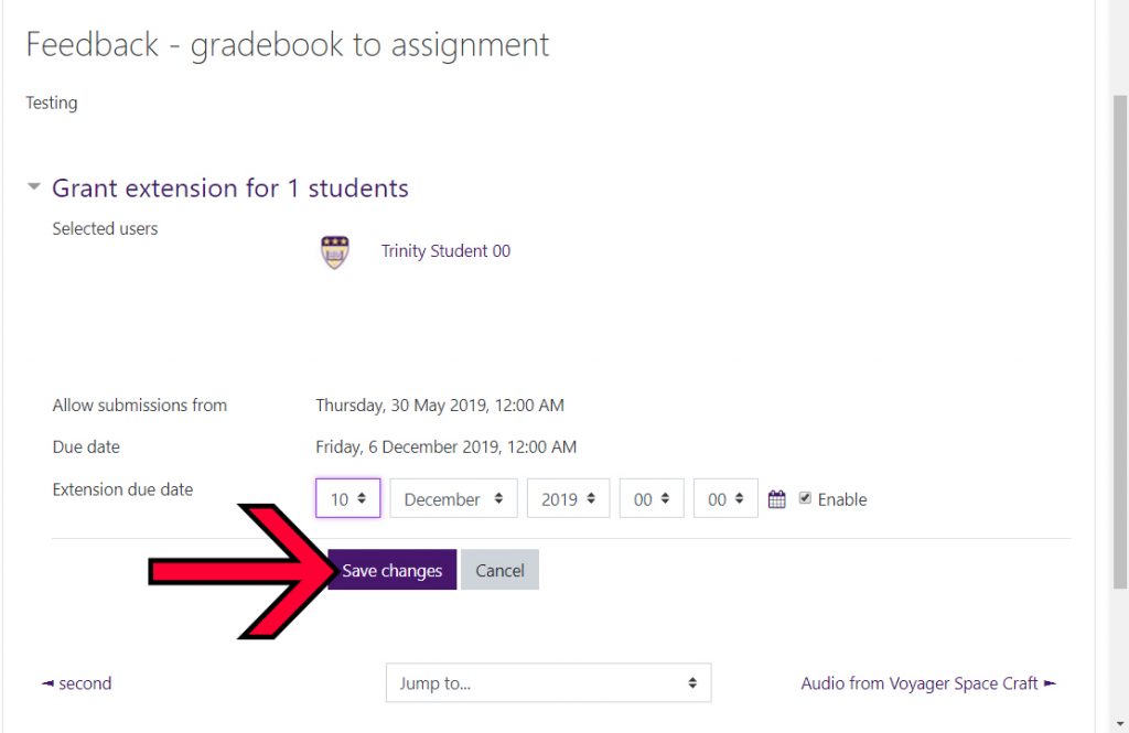 moodle assignment extension