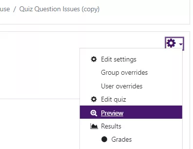 Showing the main quiz page with the "preview" option selected