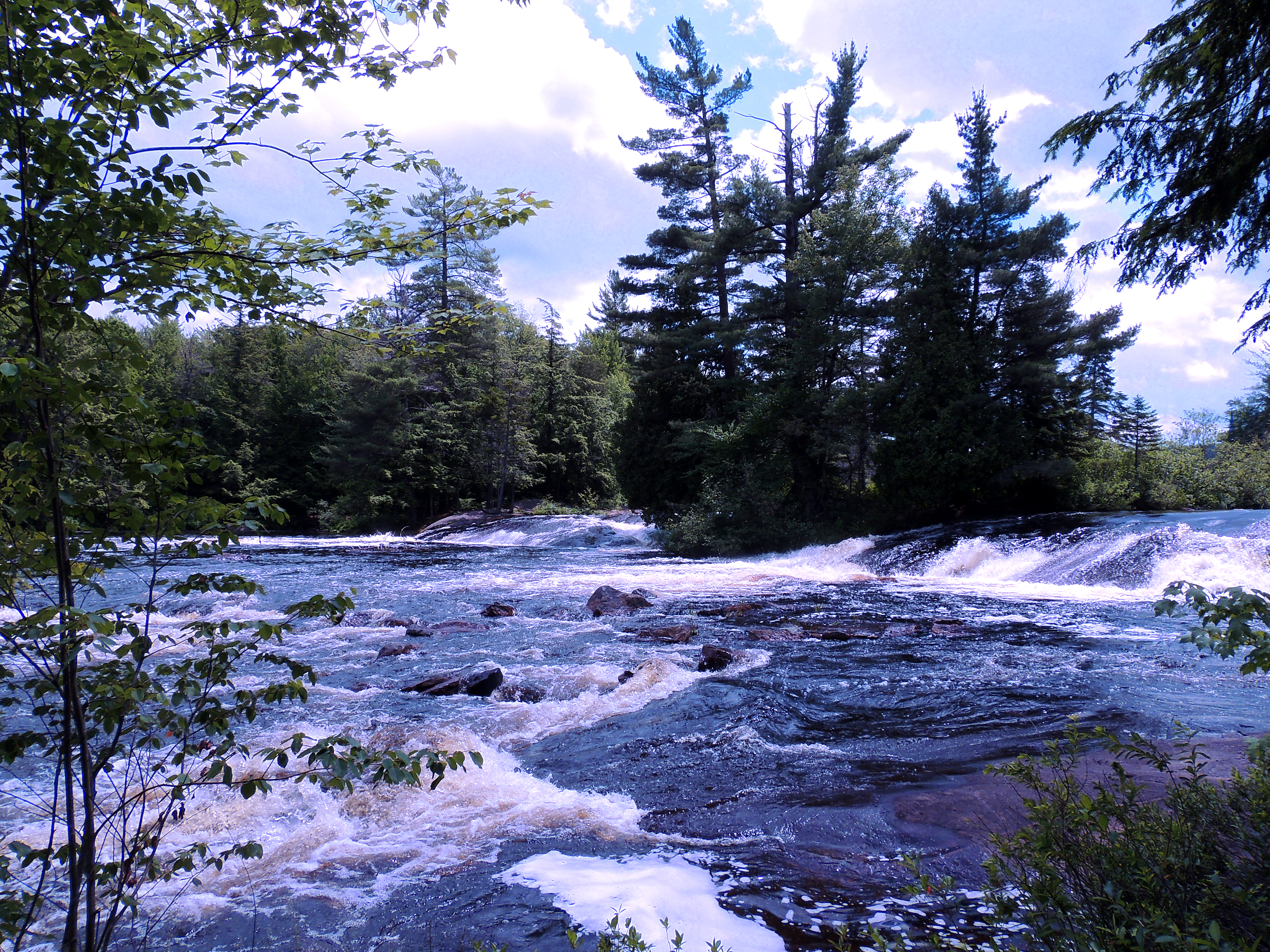 BOG RIVER FALLS