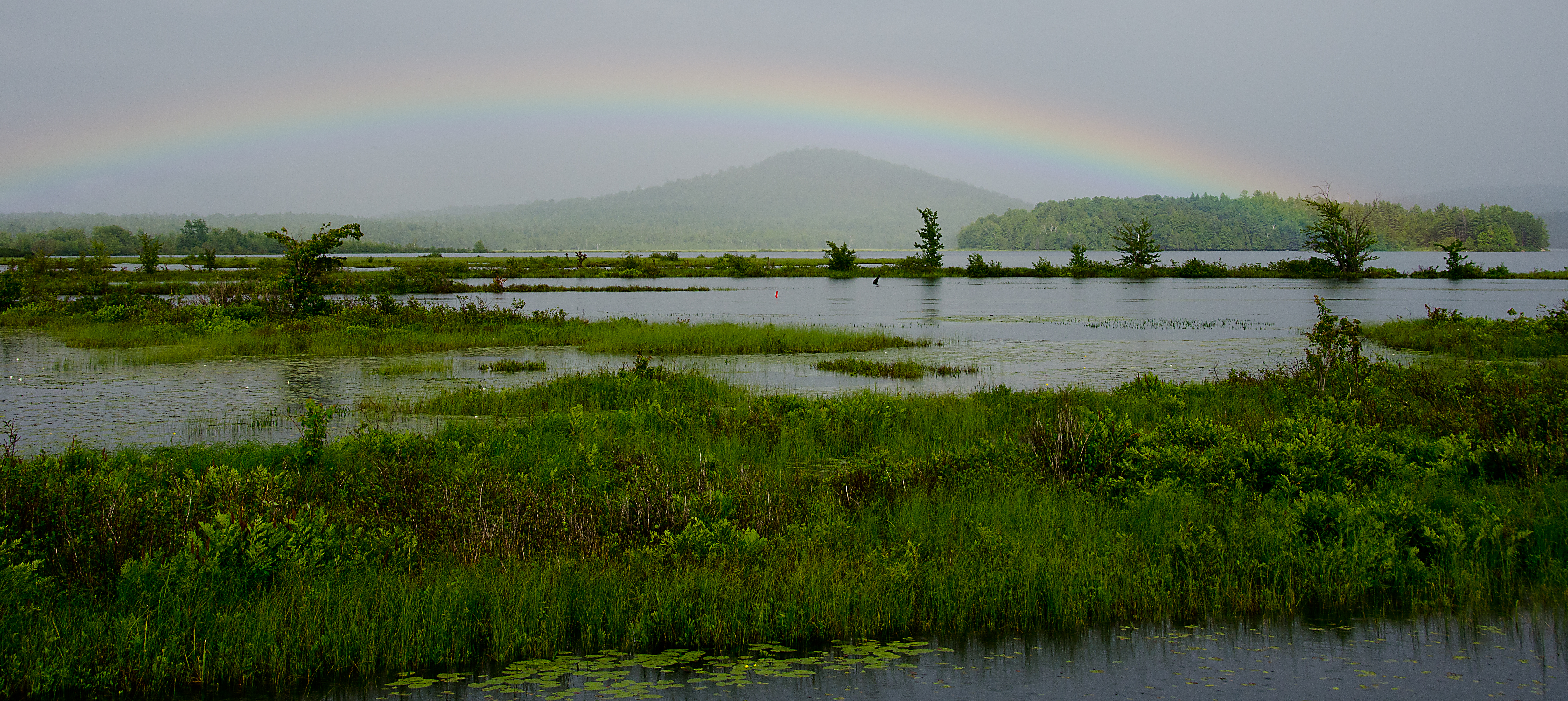 SIMONDS POND RAINBOW