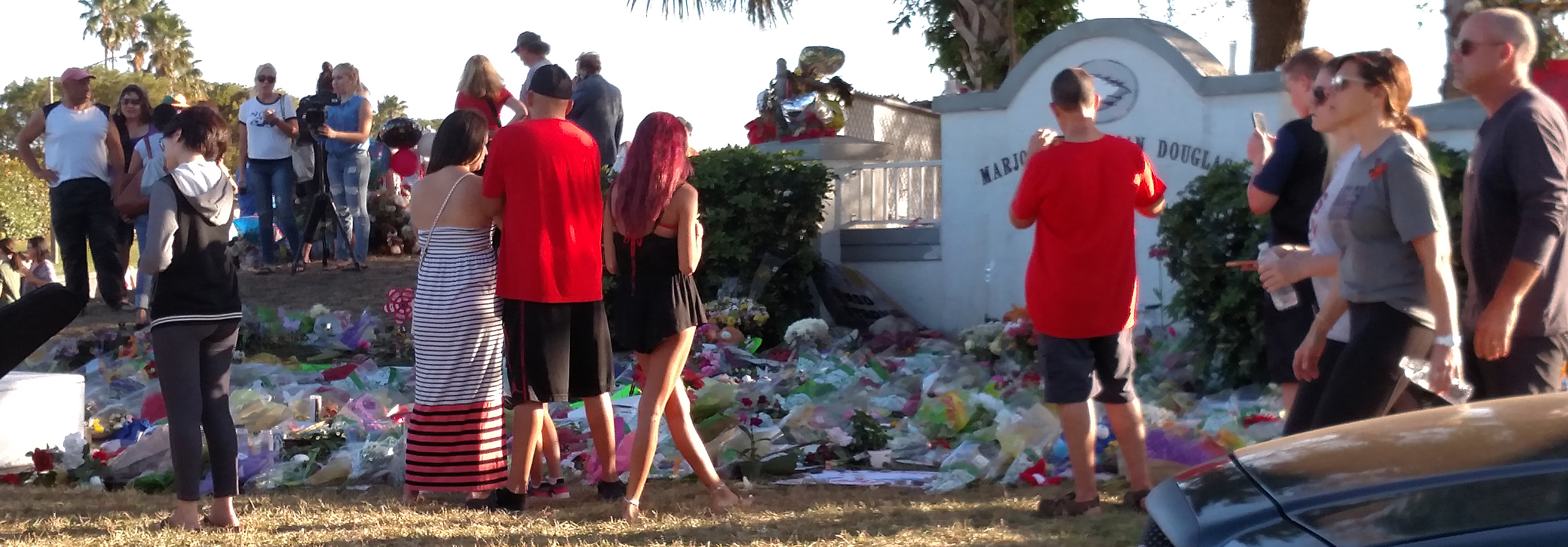 parkland scene