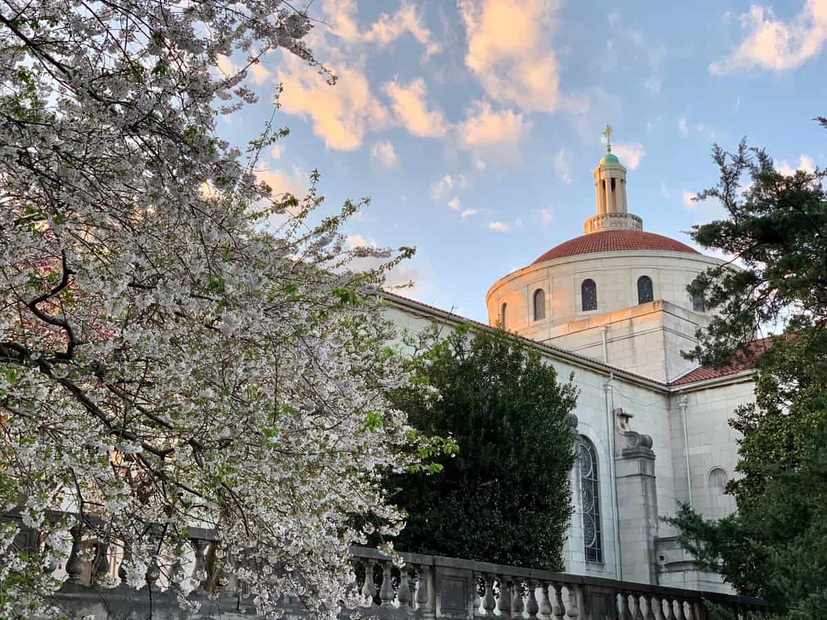 chapel and flowers