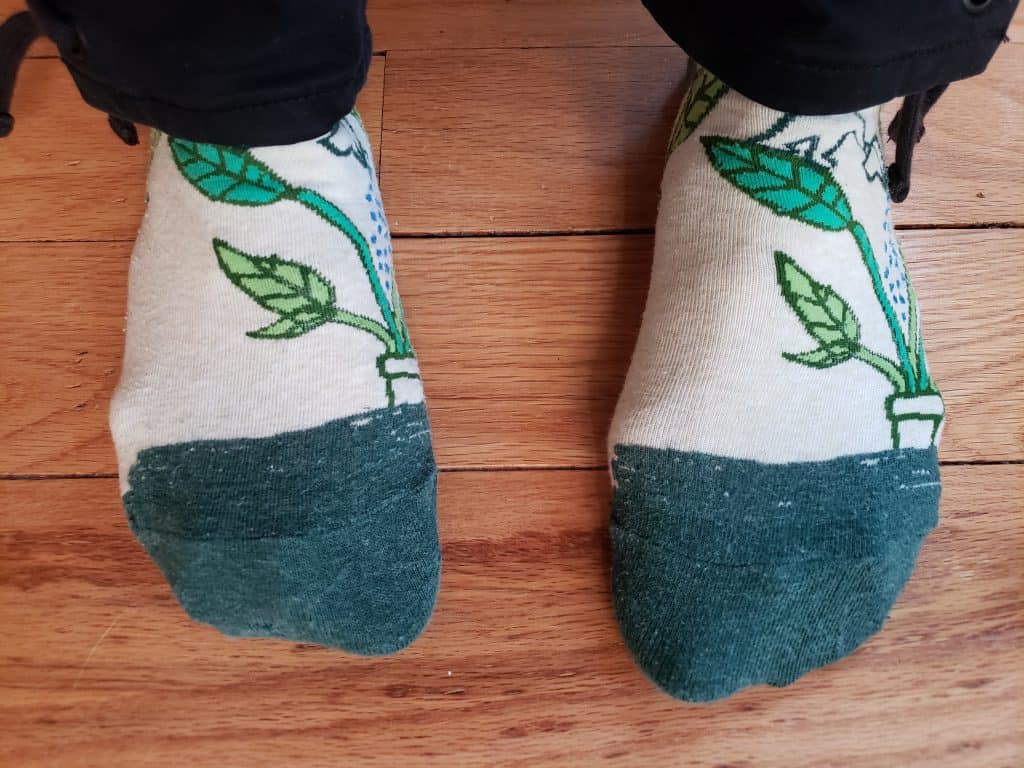 Romanello socks