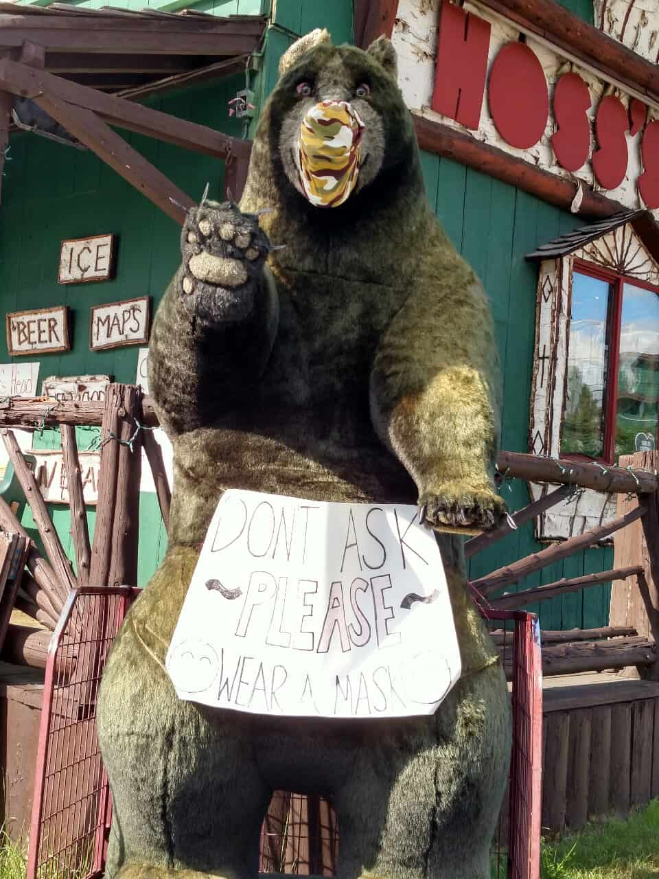 bear with mask