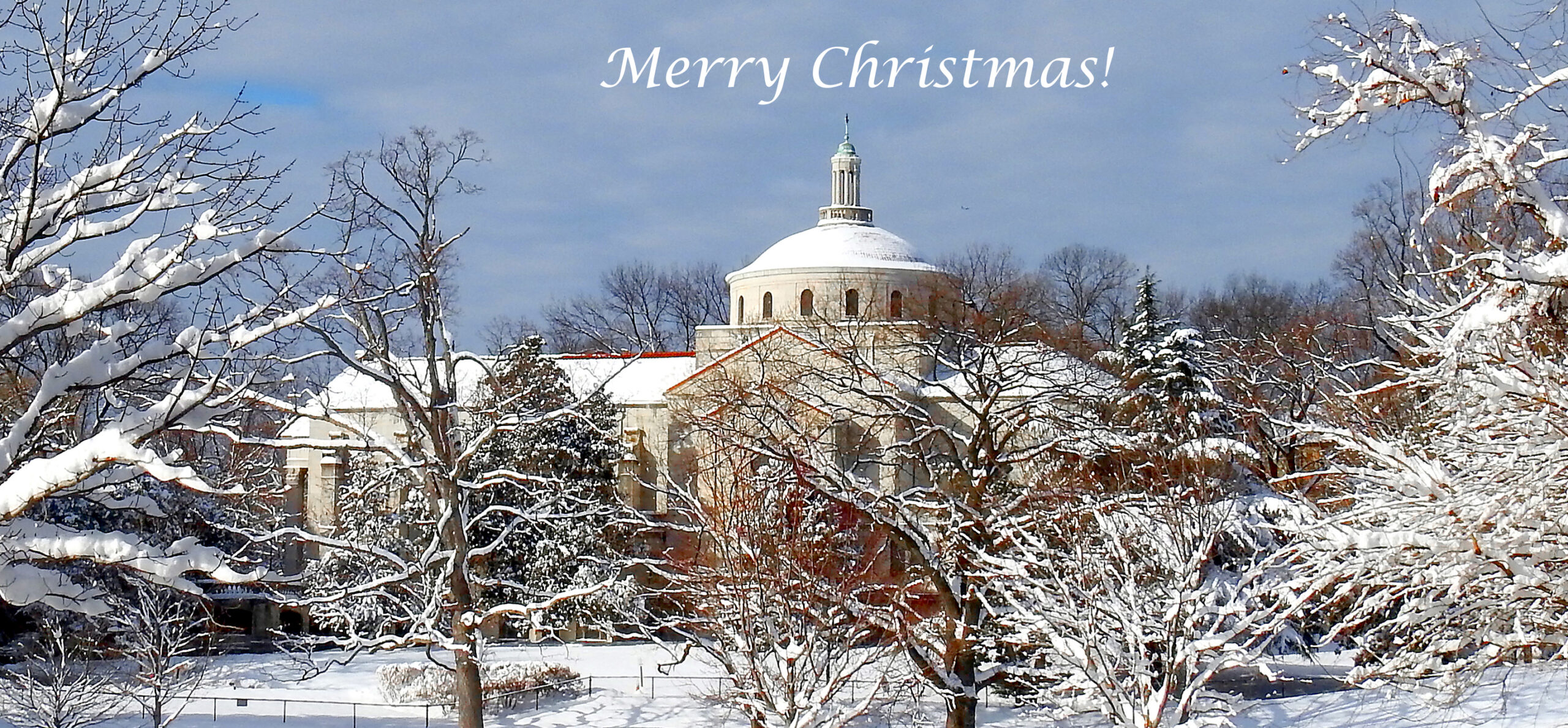 All I Want for Christmas All I Want for Christmas