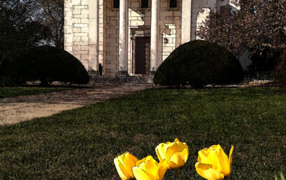 Resurrection: the Gift of Hope